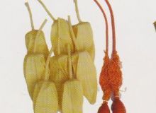 點(diǎn)擊查看詳細(xì)信息<br>標(biāo)題：取氣樣球膽 閱讀次數(shù)：265